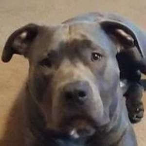 Meet your Posher, Jeff